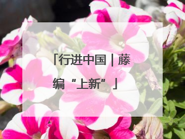 行进中国｜藤编“上新”
