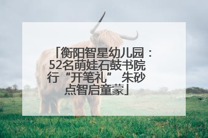 衡阳智星幼儿园：52名萌娃石鼓书院行“开笔礼” 朱砂点智启童蒙