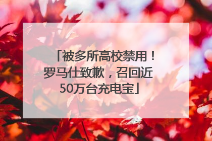 被多所高校禁用！罗马仕致歉，召回近50万台充电宝