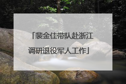 裴金佳带队赴浙江调研退役军人工作