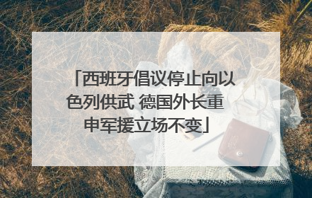 西班牙倡议停止向以色列供武 德国外长重申军援立场不变