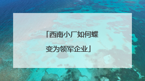 西南小厂如何蝶变为领军企业