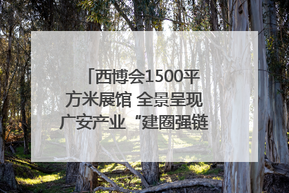西博会1500平方米展馆 全景呈现广安产业“建圈强链”｜西博视界