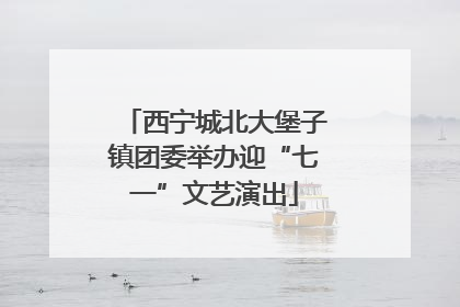西宁城北大堡子镇团委举办迎“七一”文艺演出