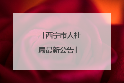 西宁市人社局最新公告