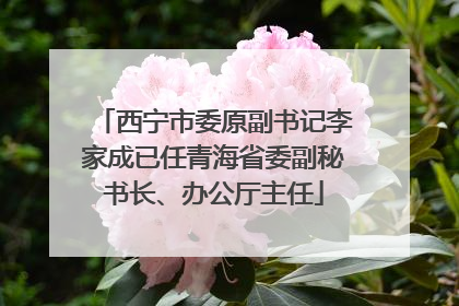 西宁市委原副书记李家成已任青海省委副秘书长、办公厅主任