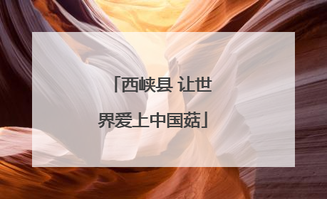 西峡县 让世界爱上中国菇