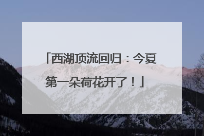 西湖顶流回归：今夏第一朵荷花开了！