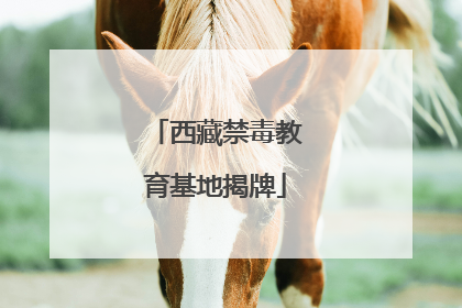 西藏禁毒教育基地揭牌