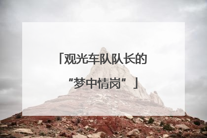观光车队队长的“梦中情岗”