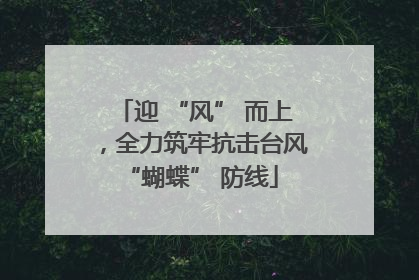 迎 “风” 而上，全力筑牢抗击台风 “蝴蝶” 防线