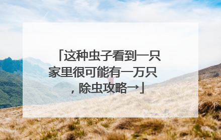 这种虫子看到一只家里很可能有一万只，除虫攻略→
