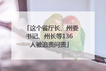 这个省厅长、州委书记、州长等136人被追责问责