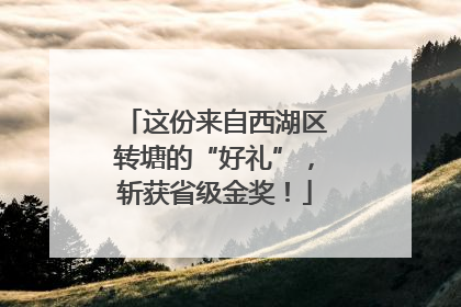 这份来自西湖区转塘的“好礼”，斩获省级金奖！