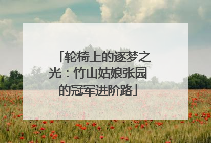 轮椅上的逐梦之光：竹山姑娘张园的冠军进阶路