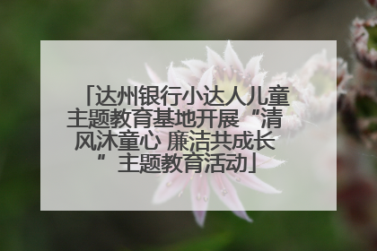 达州银行小达人儿童主题教育基地开展“清风沐童心 廉洁共成长”主题教育活动
