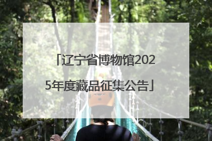 辽宁省博物馆2025年度藏品征集公告