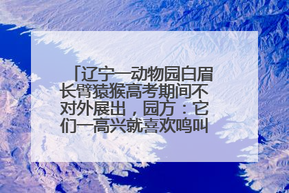 辽宁一动物园白眉长臂猿猴高考期间不对外展出，园方：它们一高兴就喜欢鸣叫，怕影响考试