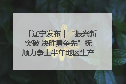 辽宁发布｜“振兴新突破 决胜勇争先”抚顺力争上半年地区生产总值增长7%左右