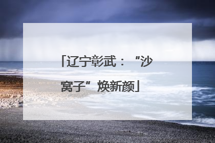 辽宁彰武：“沙窝子”焕新颜