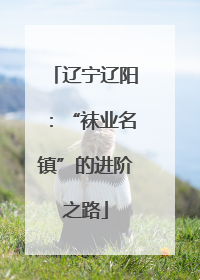 辽宁辽阳：“袜业名镇”的进阶之路