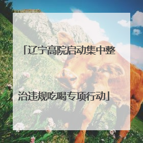 辽宁高院启动集中整治违规吃喝专项行动