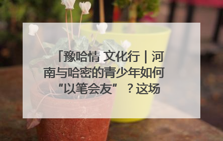 豫哈情 文化行｜河南与哈密的青少年如何 “以笔会友”？这场书画展藏着答案