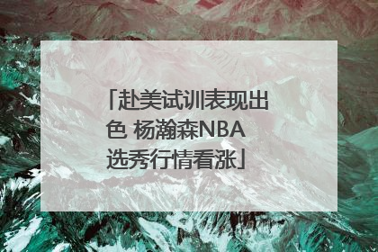 赴美试训表现出色 杨瀚森NBA选秀行情看涨