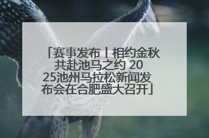 赛事发布丨相约金秋 共赴池马之约 2025池州马拉松新闻发布会在合肥盛大召开