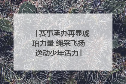 赛事承办再显琥珀力量 绳采飞扬逸动少年活力