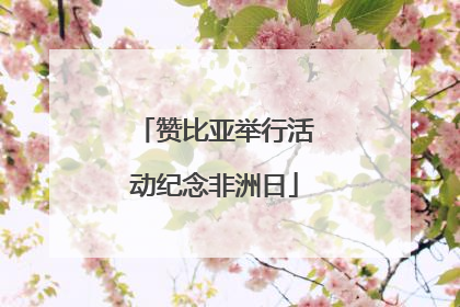 赞比亚举行活动纪念非洲日