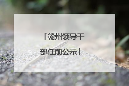 赣州领导干部任前公示