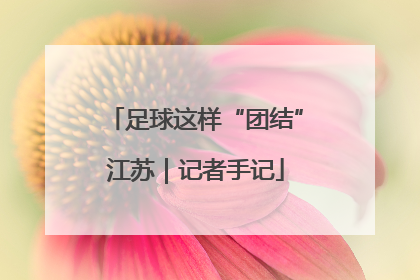足球这样“团结”江苏｜记者手记