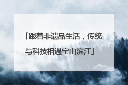 跟着非遗品生活，传统与科技相遇宝山滨江