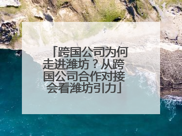 跨国公司为何走进潍坊？从跨国公司合作对接会看潍坊引力