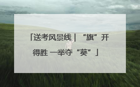 送考风景线｜“旗”开得胜 一举夺“葵”