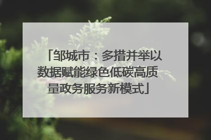 邹城市：多措并举以数据赋能绿色低碳高质量政务服务新模式