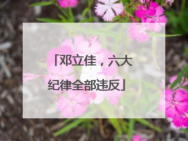 邓立佳，六大纪律全部违反