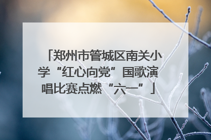 郑州市管城区南关小学“红心向党”国歌演唱比赛点燃“六一”