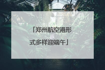 郑州航空港形式多样迎端午