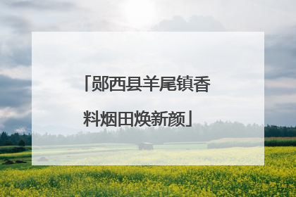 郧西县羊尾镇香料烟田焕新颜