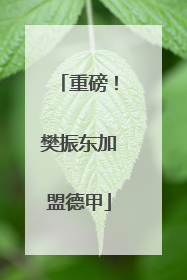 重磅！樊振东加盟德甲