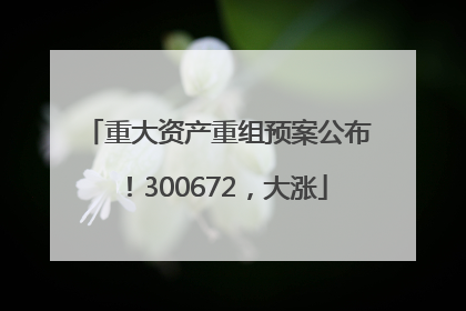 重大资产重组预案公布！300672，大涨
