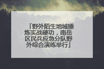 野外陌生地域锤炼实战硬功，南岳区民兵应急分队野外综合演练举行
