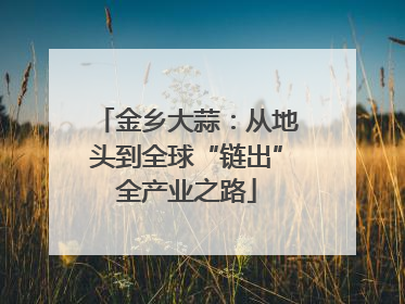 金乡大蒜：从地头到全球“链出”全产业之路