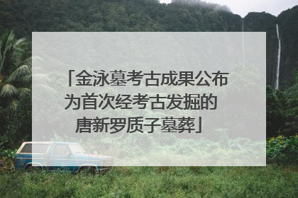金泳墓考古成果公布 为首次经考古发掘的唐新罗质子墓葬