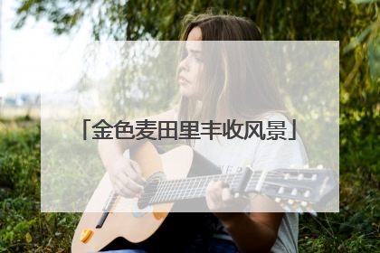 金色麦田里丰收风景