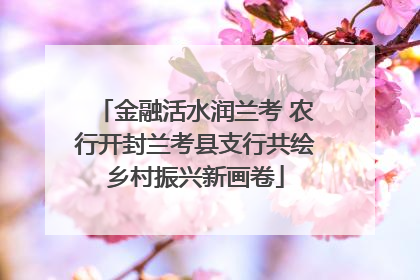 金融活水润兰考 农行开封兰考县支行共绘乡村振兴新画卷