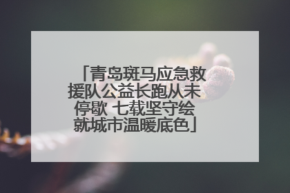 青岛斑马应急救援队公益长跑从未停歇 七载坚守绘就城市温暖底色