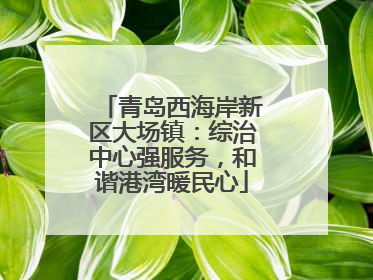 青岛西海岸新区大场镇：综治中心强服务，和谐港湾暖民心